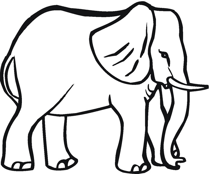 African Animal Template - Animal Templates | Free & Premium Templates