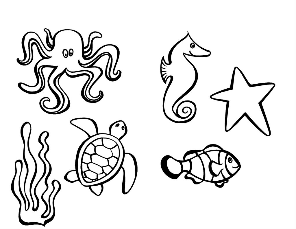 Sea Creatures! (with measles!) | Lisa Gaumond