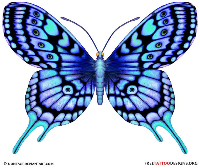 Blue Butterfly Tattoo | Butterfly ...