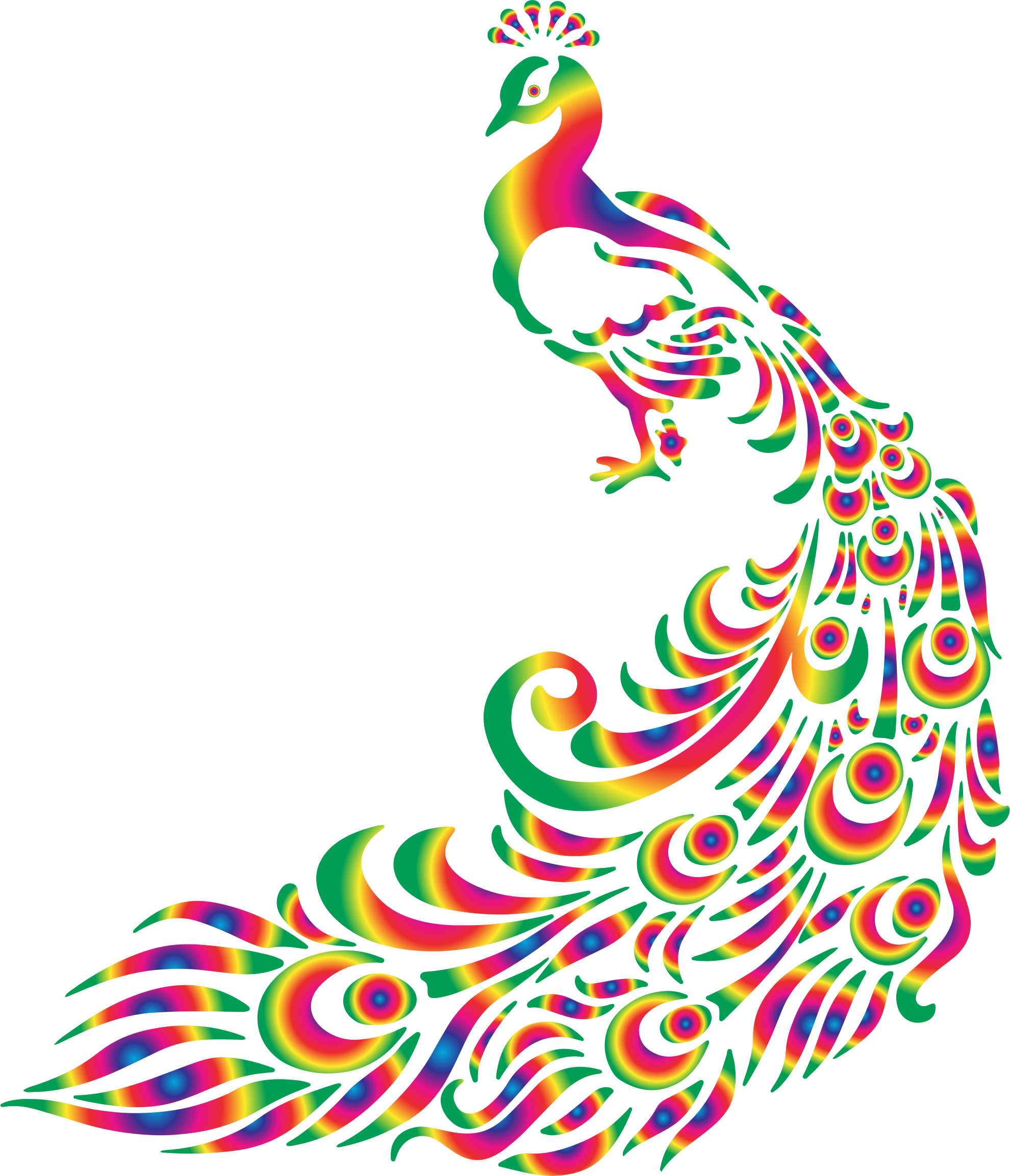 Peacock Clipart | Free Download Clip Art | Free Clip Art | on ...