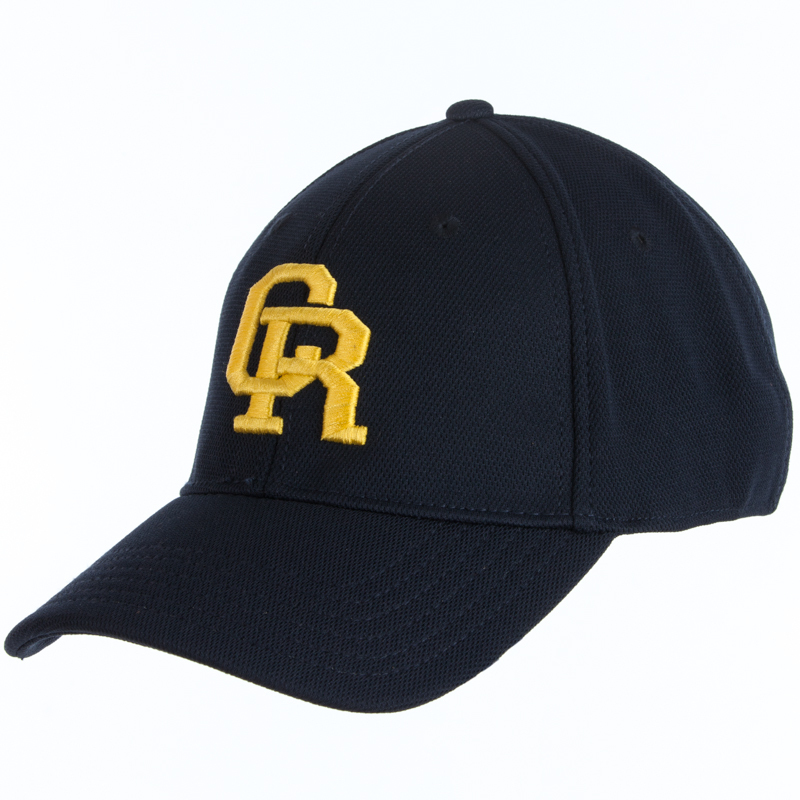 CACTUS GEAR - Men's Green Cactus Ropes Baseball Hat - NRSworld.