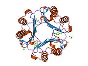 Macrophage migration inhibitory factor