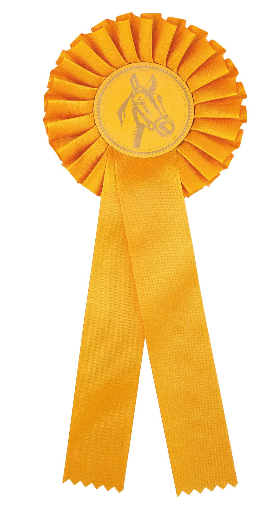 Horse trophies - Page 1 - Premier Trophies