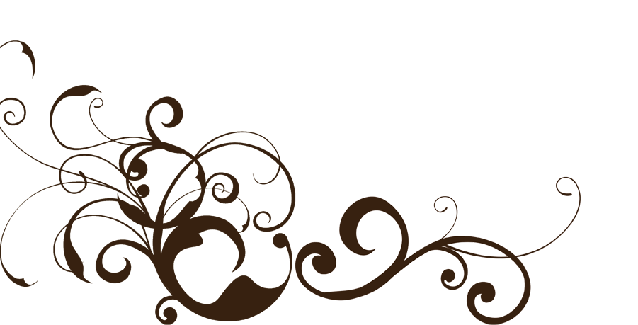 Vector Swirl PNG Transparent Images | PNG All