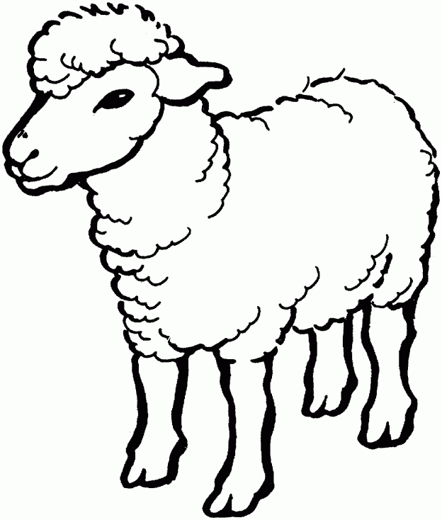 SHEEP DRAWING - ClipArt Best