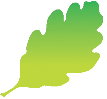 Oak Leaf Logo