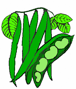Beans Clip Art - Tumundografico