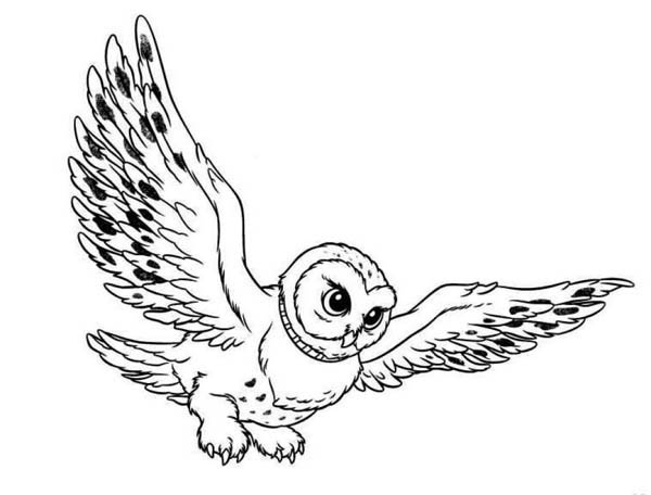 Cartoon Snowy Owl