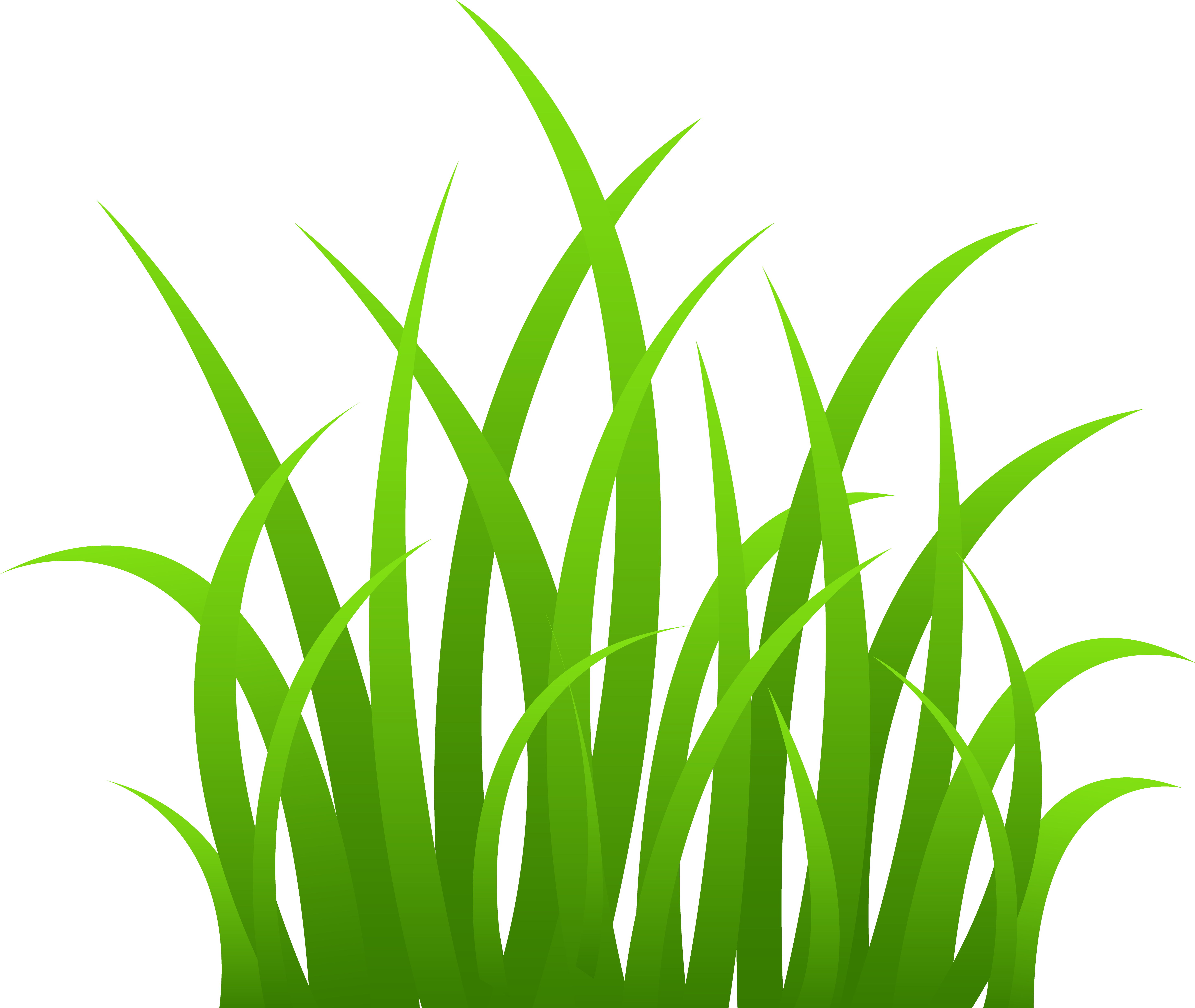 Pix For > Green Grass Border Clipart