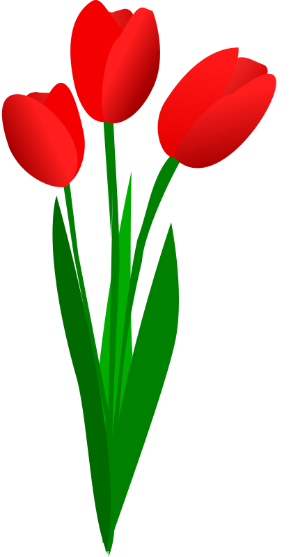 Tulip Flower Clip Art Free - Free Clipart Images