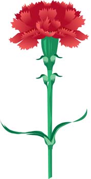 Flower Carnation Clip Art, Vector Flower Carnation - 1000 Graphics ...