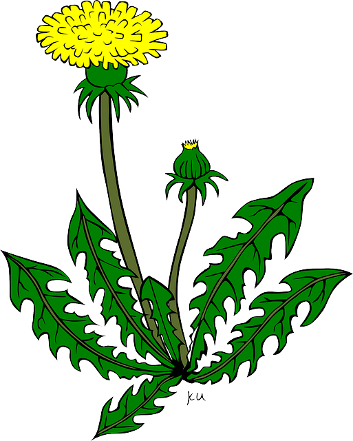 YELLOW, PLANTS, FLOWER, FLOWERS, CARTOON, GARDEN - Public Domain ...