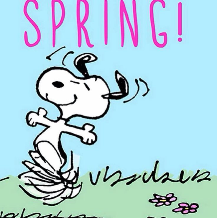 1000+ images about Springâ??