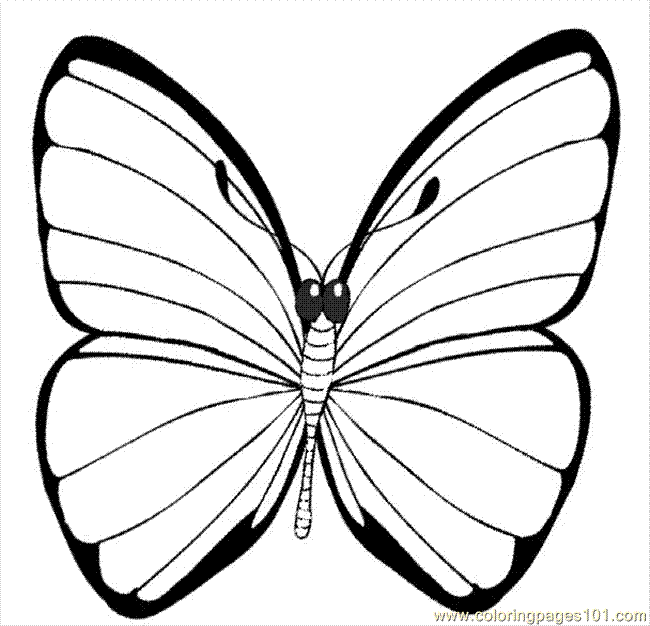 Free Butterfly Coloring Pages Free Butterfly Coloring Pages ...