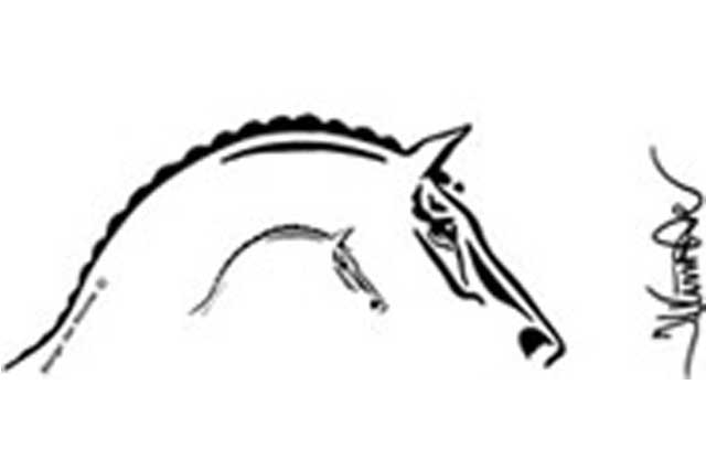 Décor | Maple Lane Equestrian Trailers
