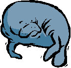 Manatee