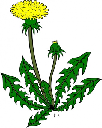Flower Dandelion clip art vector, free vector graphics