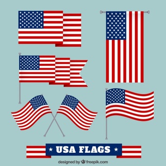 American flag vector. Different views. Vector | Free Download