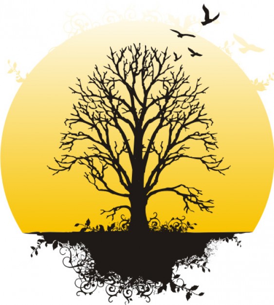 Tree Roots Vector Vectors, Photos and PSD files | Free Download