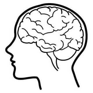 Cartoon brain clipart free