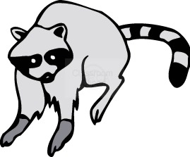 Raccoon clipart raccoon - Clipartix