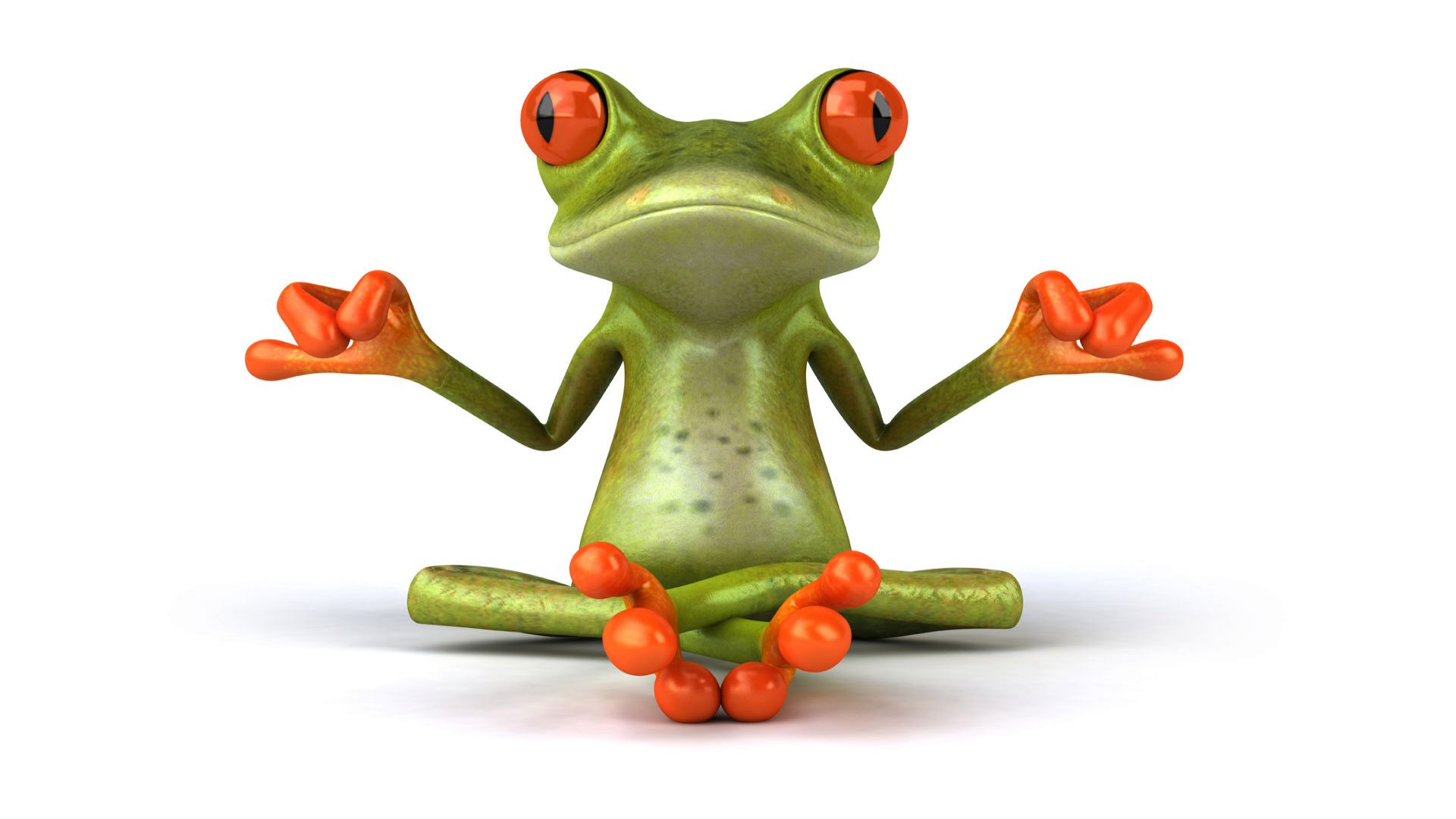 Frog More Funny #16825 Wallpaper | High Resolution Wallarthd.com