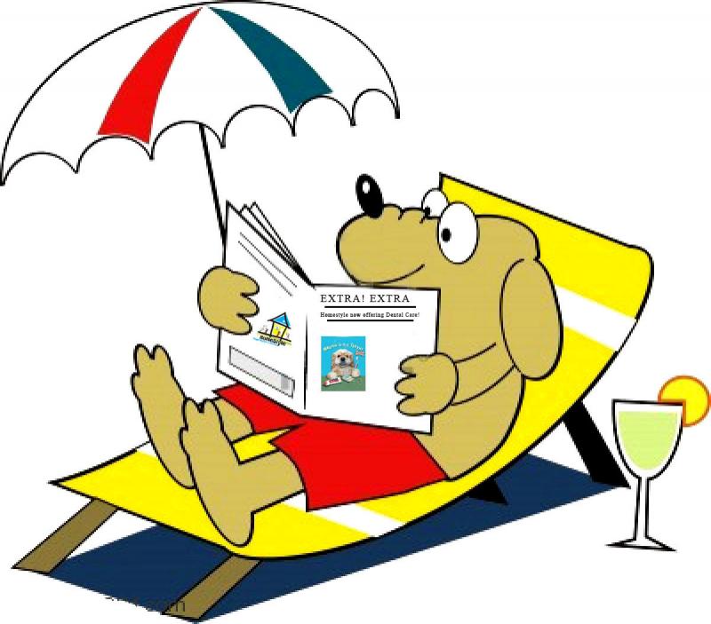 Cartoon Summer Pictures
