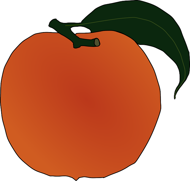 FOOD, FRUIT, OUTLINE, LEAF, CARTOON, ORANGE, PEACH - Public Domain ...