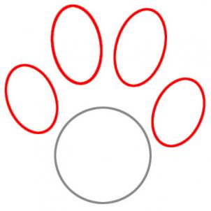Draw a Paw Print, Step by Step, Pets, Animals, FREE Online Drawing ...