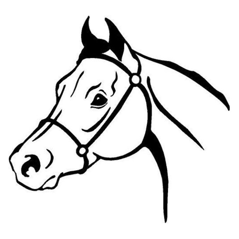13.5*12.7CM Arabian Horse Head Pattern Car Body Decal Classic ...
