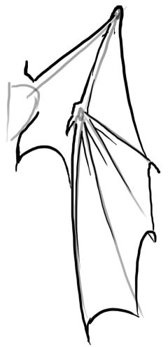 Sketching, Wings and To draw