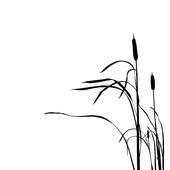 Cattail Clipart | Free Download Clip Art | Free Clip Art | on ...