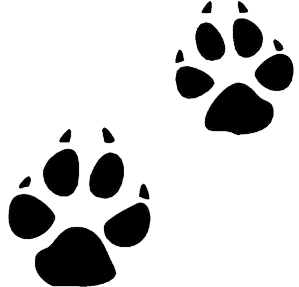 Animal Footprints Clipart