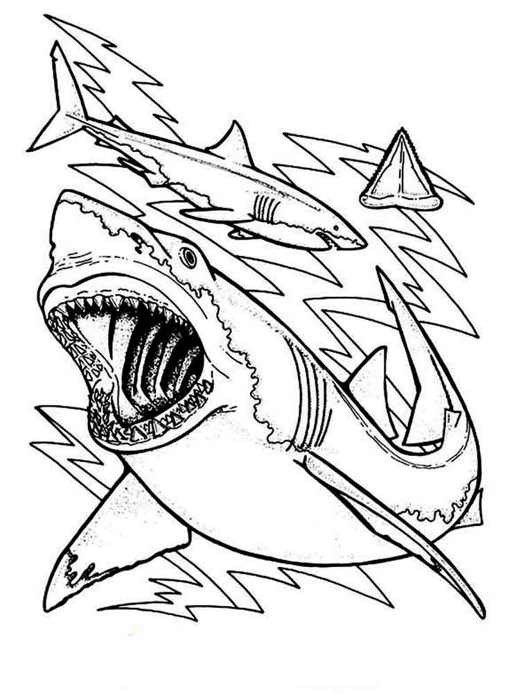 Sharks coloring pages. Download and print sharks coloring pages