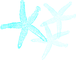 starfish-prints-md.png
