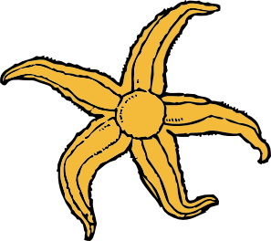 Starfish clip art - vector clip art online, royalty free & public ...