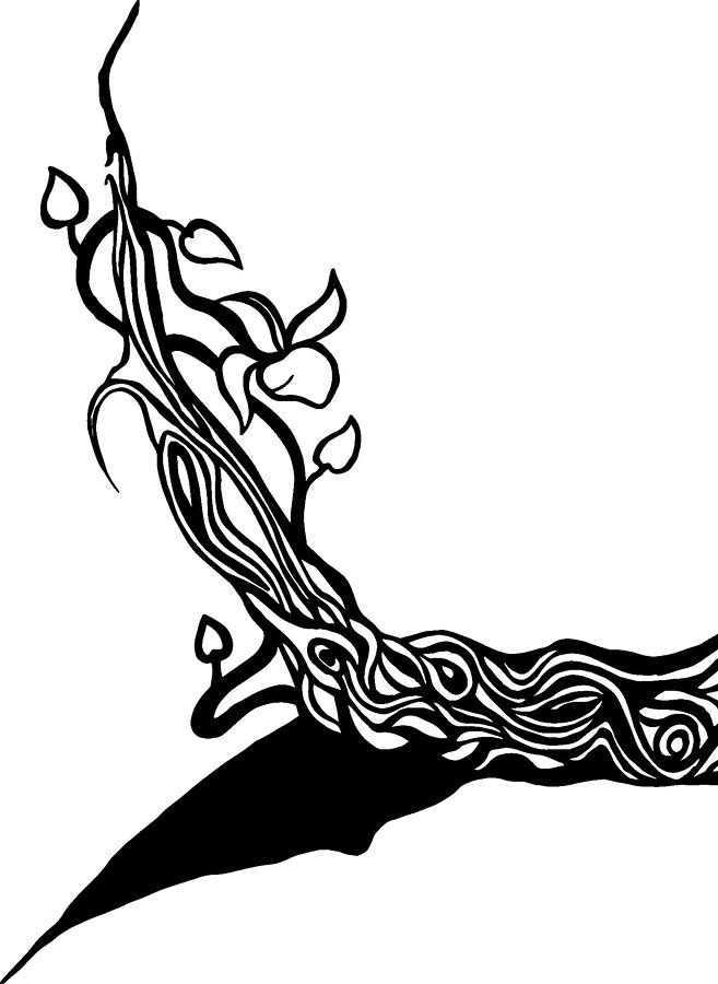 Tree Vines Drawing by Tu Ly - Tree Vines Fine Art Prints and ...