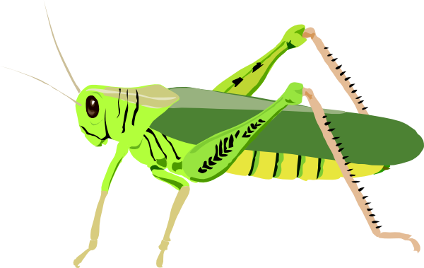 Cartoon Grasshopper