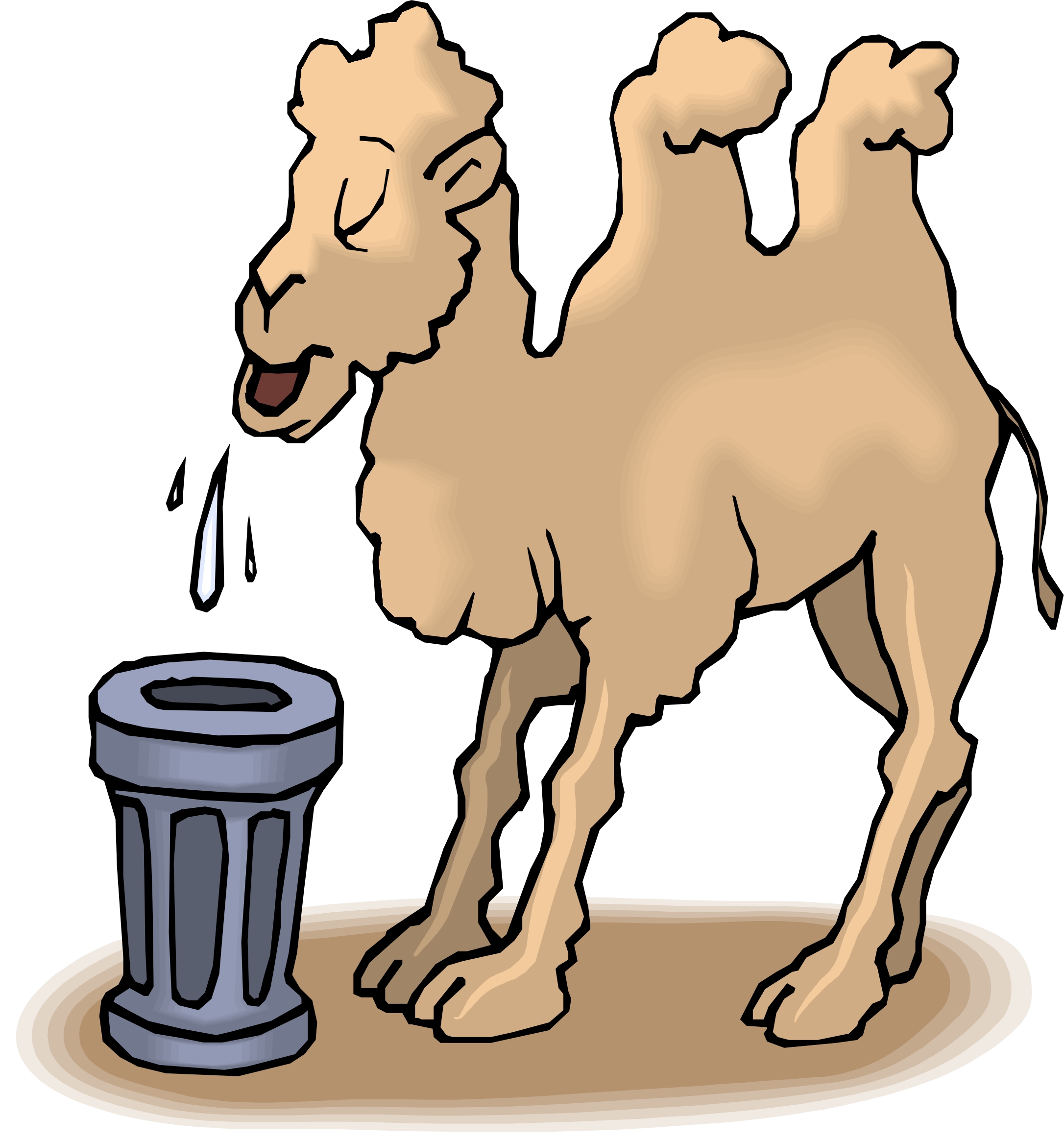 Cartoon Camel