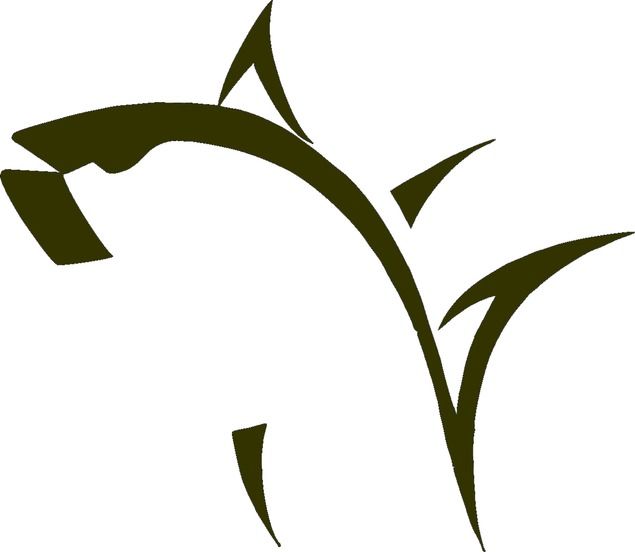 Logos, Fishing and Search