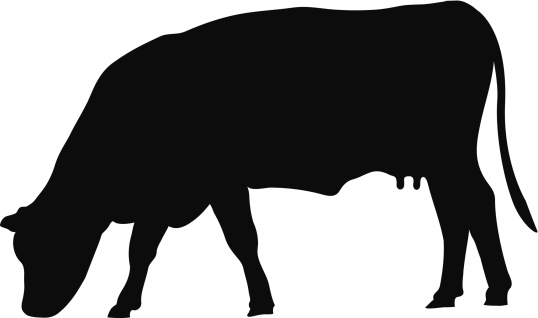 Dairy Cattle Clip Art, Vector Images & Illustrations
