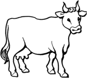 Cattle coloring pages | Free Coloring Pages