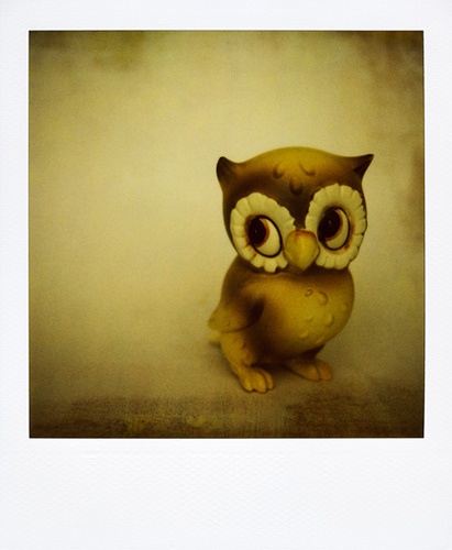 1000+ images about Owl Tattoos