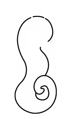 How to Draw a Seahorse, Easy Step-by-Step Drawing Tutorial