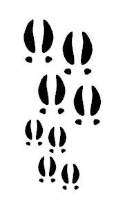 Deer Track Tattoo | Browning Tattoo ...