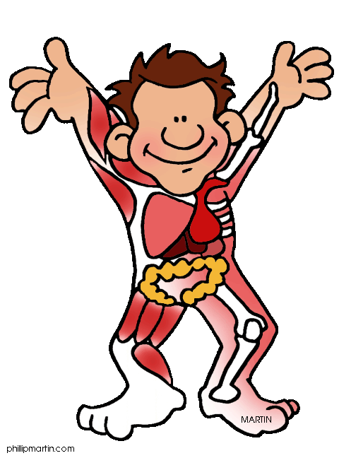 Clipart human body