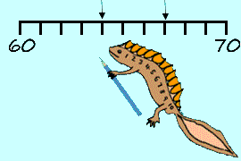 Blank Number Lines 1