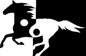 Yin and yang horse 2 by Andalusiano on DeviantArt