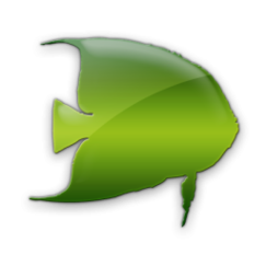 Icons Fish Green Png Clipart - Free to use Clip Art Resource