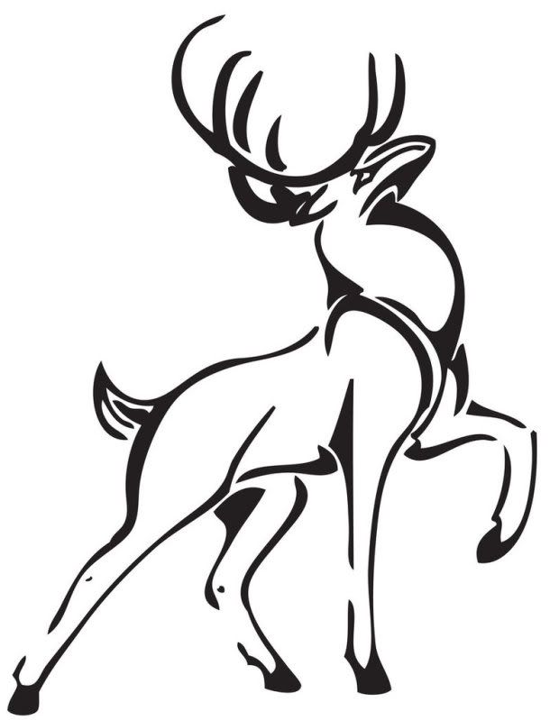 1000+ images about Hunting the white stag | The white ...
